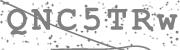 This is a CAPTCHA image, use shortcut Ctrl + Alt + P to play the alphabet audio for this image